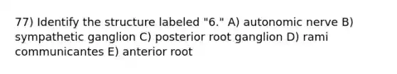 77) Identify the structure labeled "6." A) autonomic nerve B) sympathetic ganglion C) posterior root ganglion D) rami communicantes E) anterior root