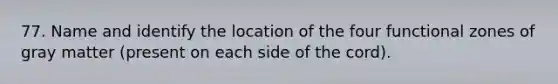 77. Name and identify the location of the four functional zones of gray matter (present on each side of the cord).