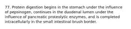 77. Protein digestion begins in the stomach under the influence of pepsinogen, continues in the duodenal lumen under the influence of pancreatic proteolytic enzymes, and is completed intracellularly in the small intestinal brush border.