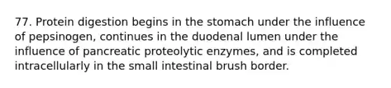 77. Protein digestion begins in the stomach under the influence of pepsinogen, continues in the duodenal lumen under the influence of pancreatic proteolytic enzymes, and is completed intracellularly in the small intestinal brush border.