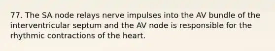 77. The SA node relays nerve impulses into the AV bundle of the interventricular septum and the AV node is responsible for the rhythmic contractions of the heart.