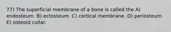 77) The superficial membrane of a bone is called the A) endosteum. B) ectosteum. C) cortical membrane. D) periosteum. E) osteoid collar.