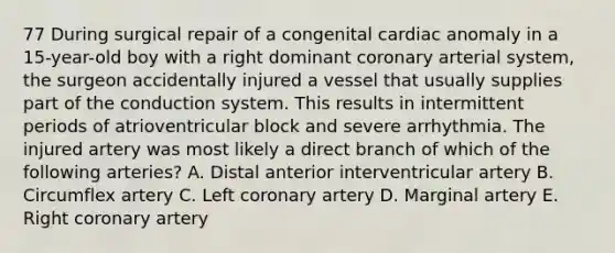 77 During surgical repair of a congenital cardiac anomaly in a 15-year-old boy with a right dominant coronary arterial system, the surgeon accidentally injured a vessel that usually supplies part of the conduction system. This results in intermittent periods of atrioventricular block and severe arrhythmia. The injured artery was most likely a direct branch of which of the following arteries? A. Distal anterior interventricular artery B. Circumflex artery C. Left coronary artery D. Marginal artery E. Right coronary artery