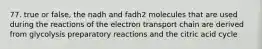 77. true or false, the nadh and fadh2 molecules that are used during the reactions of the electron transport chain are derived from glycolysis preparatory reactions and the citric acid cycle