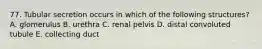 77. Tubular secretion occurs in which of the following structures? A. glomerulus B. urethra C. renal pelvis D. distal convoluted tubule E. collecting duct