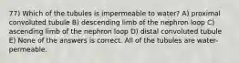 77) Which of the tubules is impermeable to water? A) proximal convoluted tubule B) descending limb of the nephron loop C) ascending limb of the nephron loop D) distal convoluted tubule E) None of the answers is correct. All of the tubules are water-permeable.