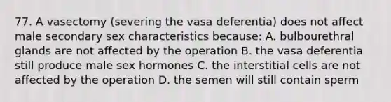 77. A vasectomy (severing the vasa deferentia) does not affect male secondary sex characteristics because: A. bulbourethral glands are not affected by the operation B. the vasa deferentia still produce male sex hormones C. the interstitial cells are not affected by the operation D. the semen will still contain sperm