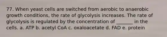 77. When yeast cells are switched from aerobic to anaerobic growth conditions, the rate of glycolysis increases. The rate of glycolysis is regulated by the concentration of _______ in the cells. a. ATP b. acetyl CoA c. oxaloacetate d. FAD e. protein