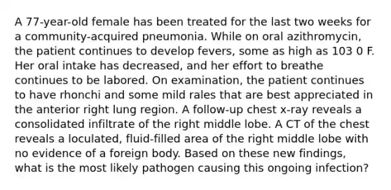 A 77-year-old female has been treated for the last two weeks for a community-acquired pneumonia. While on oral azithromycin, the patient continues to develop fevers, some as high as 103 0 F. Her oral intake has decreased, and her effort to breathe continues to be labored. On examination, the patient continues to have rhonchi and some mild rales that are best appreciated in the anterior right lung region. A follow-up chest x-ray reveals a consolidated infiltrate of the right middle lobe. A CT of the chest reveals a loculated, fluid-filled area of the right middle lobe with no evidence of a foreign body. Based on these new findings, what is the most likely pathogen causing this ongoing infection?