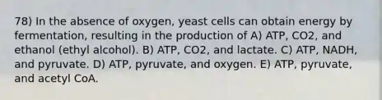 78) In the absence of oxygen, yeast cells can obtain energy by fermentation, resulting in the production of A) ATP, CO2, and ethanol (ethyl alcohol). B) ATP, CO2, and lactate. C) ATP, NADH, and pyruvate. D) ATP, pyruvate, and oxygen. E) ATP, pyruvate, and acetyl CoA.