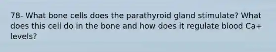 78- What bone cells does the parathyroid gland stimulate? What does this cell do in the bone and how does it regulate blood Ca+ levels?