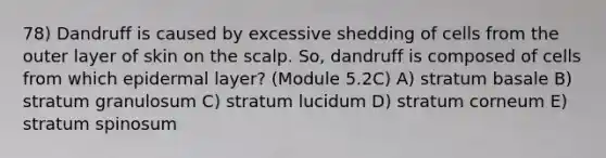 78) Dandruff is caused by excessive shedding of cells from the outer layer of skin on the scalp. So, dandruff is composed of cells from which epidermal layer? (Module 5.2C) A) stratum basale B) stratum granulosum C) stratum lucidum D) stratum corneum E) stratum spinosum