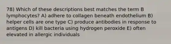 78) Which of these descriptions best matches the term B lymphocytes? A) adhere to collagen beneath endothelium B) helper cells are one type C) produce antibodies in response to antigens D) kill bacteria using hydrogen peroxide E) often elevated in allergic individuals