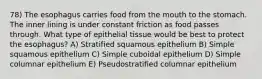 78) The esophagus carries food from the mouth to the stomach. The inner lining is under constant friction as food passes through. What type of epithelial tissue would be best to protect the esophagus? A) Stratified squamous epithelium B) Simple squamous epithelium C) Simple cuboidal epithelium D) Simple columnar epithelium E) Pseudostratified columnar epithelium