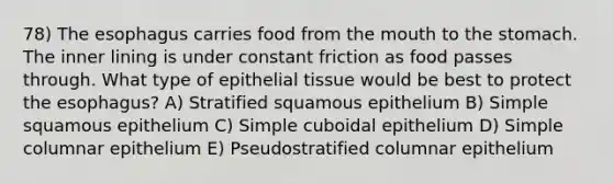 78) The esophagus carries food from the mouth to the stomach. The inner lining is under constant friction as food passes through. What type of epithelial tissue would be best to protect the esophagus? A) Stratified squamous epithelium B) Simple squamous epithelium C) Simple cuboidal epithelium D) Simple columnar epithelium E) Pseudostratified columnar epithelium