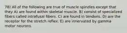 78) All of the following are true of muscle spindles except that they A) are found within skeletal muscle. B) consist of specialized fibers called intrafusal fibers. C) are found in tendons. D) are the receptor for the stretch reflex. E) are innervated by gamma motor neurons.