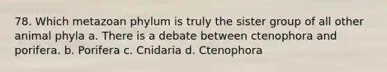 78. Which metazoan phylum is truly the sister group of all other animal phyla a. There is a debate between ctenophora and porifera. b. Porifera c. Cnidaria d. Ctenophora