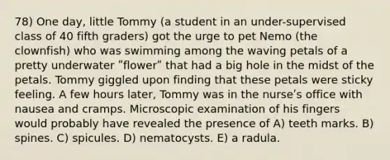 78) One day, little Tommy (a student in an under-supervised class of 40 fifth graders) got the urge to pet Nemo (the clownfish) who was swimming among the waving petals of a pretty underwater ʺflowerʺ that had a big hole in the midst of the petals. Tommy giggled upon finding that these petals were sticky feeling. A few hours later, Tommy was in the nurseʹs office with nausea and cramps. Microscopic examination of his fingers would probably have revealed the presence of A) teeth marks. B) spines. C) spicules. D) nematocysts. E) a radula.