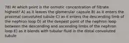 78) At which point is the osmotic concentration of filtrate highest? A) as it leaves the glomerular capsule B) as it enters the proximal convoluted tubule C) as it enters the descending limb of the nephron loop D) at the deepest point of the nephron loop between the descending and ascending limbs of the nephron loop E) as it blends with tubular fluid in the distal convoluted tubule