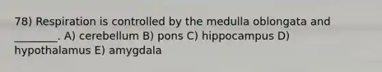 78) Respiration is controlled by the medulla oblongata and ________. A) cerebellum B) pons C) hippocampus D) hypothalamus E) amygdala