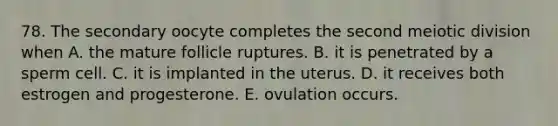 78. The secondary oocyte completes the second meiotic division when A. the mature follicle ruptures. B. it is penetrated by a sperm cell. C. it is implanted in the uterus. D. it receives both estrogen and progesterone. E. ovulation occurs.