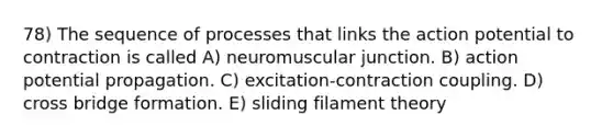 78) The sequence of processes that links the action potential to contraction is called A) neuromuscular junction. B) action potential propagation. C) excitation-contraction coupling. D) cross bridge formation. E) sliding filament theory