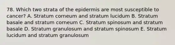 78. Which two strata of <a href='https://www.questionai.com/knowledge/kBFgQMpq6s-the-epidermis' class='anchor-knowledge'>the epidermis</a> are most susceptible to cancer? A. Stratum corneum and stratum lucidum B. Stratum basale and stratum corneum C. Stratum spinosum and stratum basale D. Stratum granulosum and stratum spinosum E. Stratum lucidum and stratum granulosum