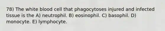 78) The white blood cell that phagocytoses injured and infected tissue is the A) neutrophil. B) eosinophil. C) basophil. D) monocyte. E) lymphocyte.