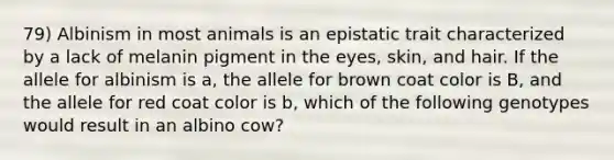 79) Albinism in most animals is an epistatic trait characterized by a lack of melanin pigment in the eyes, skin, and hair. If the allele for albinism is a, the allele for brown coat color is B, and the allele for red coat color is b, which of the following genotypes would result in an albino cow?