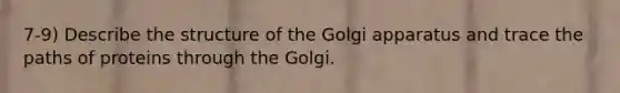 7-9) Describe the structure of the Golgi apparatus and trace the paths of proteins through the Golgi.