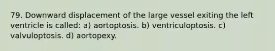 79. Downward displacement of the large vessel exiting the left ventricle is called: a) aortoptosis. b) ventriculoptosis. c) valvuloptosis. d) aortopexy.