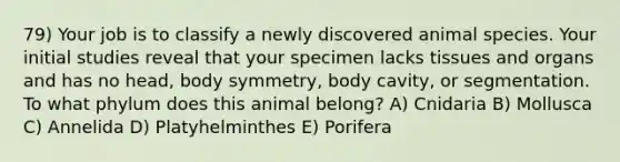 79) Your job is to classify a newly discovered animal species. Your initial studies reveal that your specimen lacks tissues and organs and has no head, body symmetry, body cavity, or segmentation. To what phylum does this animal belong? A) Cnidaria B) Mollusca C) Annelida D) Platyhelminthes E) Porifera