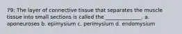 79: The layer of connective tissue that separates the muscle tissue into small sections is called the ______________. a. aponeuroses b. epimysium c. perimysium d. endomysium