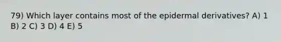 79) Which layer contains most of the epidermal derivatives? A) 1 B) 2 C) 3 D) 4 E) 5