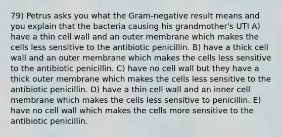 79) Petrus asks you what the Gram-negative result means and you explain that the bacteria causing his grandmother's UTI A) have a thin cell wall and an outer membrane which makes the cells less sensitive to the antibiotic penicillin. B) have a thick cell wall and an outer membrane which makes the cells less sensitive to the antibiotic penicillin. C) have no cell wall but they have a thick outer membrane which makes the cells less sensitive to the antibiotic penicillin. D) have a thin cell wall and an inner cell membrane which makes the cells less sensitive to penicillin. E) have no cell wall which makes the cells more sensitive to the antibiotic penicillin.