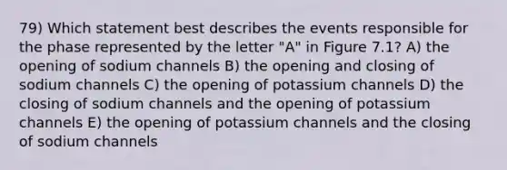 79) Which statement best describes the events responsible for the phase represented by the letter "A" in Figure 7.1? A) the opening of sodium channels B) the opening and closing of sodium channels C) the opening of potassium channels D) the closing of sodium channels and the opening of potassium channels E) the opening of potassium channels and the closing of sodium channels