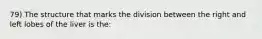 79) The structure that marks the division between the right and left lobes of the liver is the: