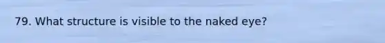 79. What structure is visible to the naked eye?