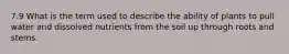 7.9 What is the term used to describe the ability of plants to pull water and dissolved nutrients from the soil up through roots and stems.