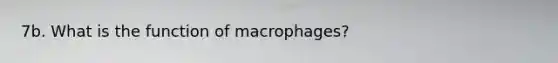 7b. What is the function of macrophages?