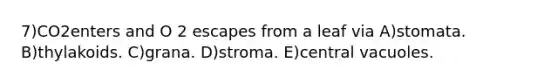 7)CO2enters and O 2 escapes from a leaf via A)stomata. B)thylakoids. C)grana. D)stroma. E)central vacuoles.