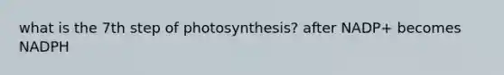 what is the 7th step of photosynthesis? after NADP+ becomes NADPH