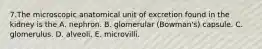 7.The microscopic anatomical unit of excretion found in the kidney is the A. nephron. B. glomerular (Bowman's) capsule. C. glomerulus. D. alveoli. E. microvilli.