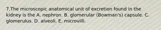 7.The microscopic anatomical unit of excretion found in the kidney is the A. nephron. B. glomerular (Bowman's) capsule. C. glomerulus. D. alveoli. E. microvilli.