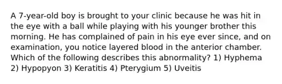 A 7-year-old boy is brought to your clinic because he was hit in the eye with a ball while playing with his younger brother this morning. He has complained of pain in his eye ever since, and on examination, you notice layered blood in the anterior chamber. Which of the following describes this abnormality? 1) Hyphema 2) Hypopyon 3) Keratitis 4) Pterygium 5) Uveitis