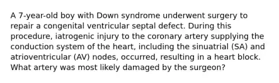 A 7-year-old boy with Down syndrome underwent surgery to repair a congenital ventricular septal defect. During this procedure, iatrogenic injury to the coronary artery supplying the conduction system of the heart, including the sinuatrial (SA) and atrioventricular (AV) nodes, occurred, resulting in a heart block. What artery was most likely damaged by the surgeon?