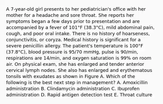 A 7-year-old girl presents to her pediatrician's office with her mother for a headache and sore throat. She reports her symptoms began a few days prior to presentation and are accompanied by a fever of 101°F (38.3°C), mild abdominal pain, cough, and poor oral intake. There is no history of hoarseness, conjunctivitis, or coryza. Medical history is significant for a severe penicillin allergy. The patient's temperature is 100°F (37.8°C), blood pressure is 95/70 mmHg, pulse is 90/min, respirations are 14/min, and oxygen saturation is 99% on room air. On physical exam, she has enlarged and tender anterior cervical lymph nodes. She also has enlarged and erythematous tonsils with exudates as shown in Figure A. Which of the following is the best next step in management? A. Amoxicillin administration B. Clindamycin administration C. Ibuprofen administration D. Rapid antigen detection test E. Throat culture