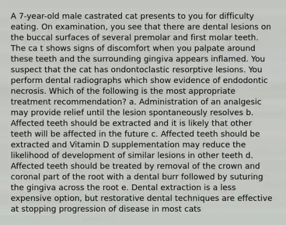 A 7-year-old male castrated cat presents to you for difficulty eating. On examination, you see that there are dental lesions on the buccal surfaces of several premolar and first molar teeth. The ca t shows signs of discomfort when you palpate around these teeth and the surrounding gingiva appears inflamed. You suspect that the cat has ondontoclastic resorptive lesions. You perform dental radiographs which show evidence of endodontic necrosis. Which of the following is the most appropriate treatment recommendation? a. Administration of an analgesic may provide relief until the lesion spontaneously resolves b. Affected teeth should be extracted and it is likely that other teeth will be affected in the future c. Affected teeth should be extracted and Vitamin D supplementation may reduce the likelihood of development of similar lesions in other teeth d. Affected teeth should be treated by removal of the crown and coronal part of the root with a dental burr followed by suturing the gingiva across the root e. Dental extraction is a less expensive option, but restorative dental techniques are effective at stopping progression of disease in most cats