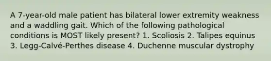 A 7-year-old male patient has bilateral lower extremity weakness and a waddling gait. Which of the following pathological conditions is MOST likely present? 1. Scoliosis 2. Talipes equinus 3. Legg-Calvé-Perthes disease 4. Duchenne muscular dystrophy