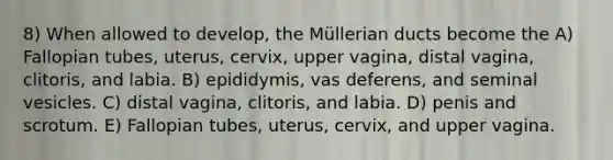 8) When allowed to develop, the Müllerian ducts become the A) Fallopian tubes, uterus, cervix, upper vagina, distal vagina, clitoris, and labia. B) epididymis, vas deferens, and seminal vesicles. C) distal vagina, clitoris, and labia. D) penis and scrotum. E) Fallopian tubes, uterus, cervix, and upper vagina.